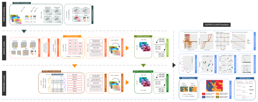 Diagram of the biomod2 workflow: data formatting, single models, ensemble models, and output & plot functions